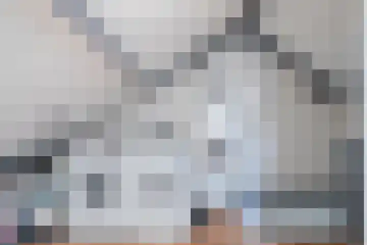 Plonderijen 33 Reusel thumbnail 23