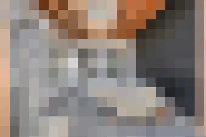 Plonderijen 33 Reusel thumbnail 29