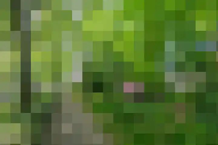 Plonderijen 33 Reusel thumbnail 34
