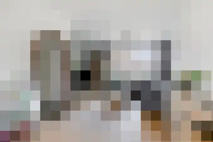 Plonderijen 33 Reusel thumbnail 5