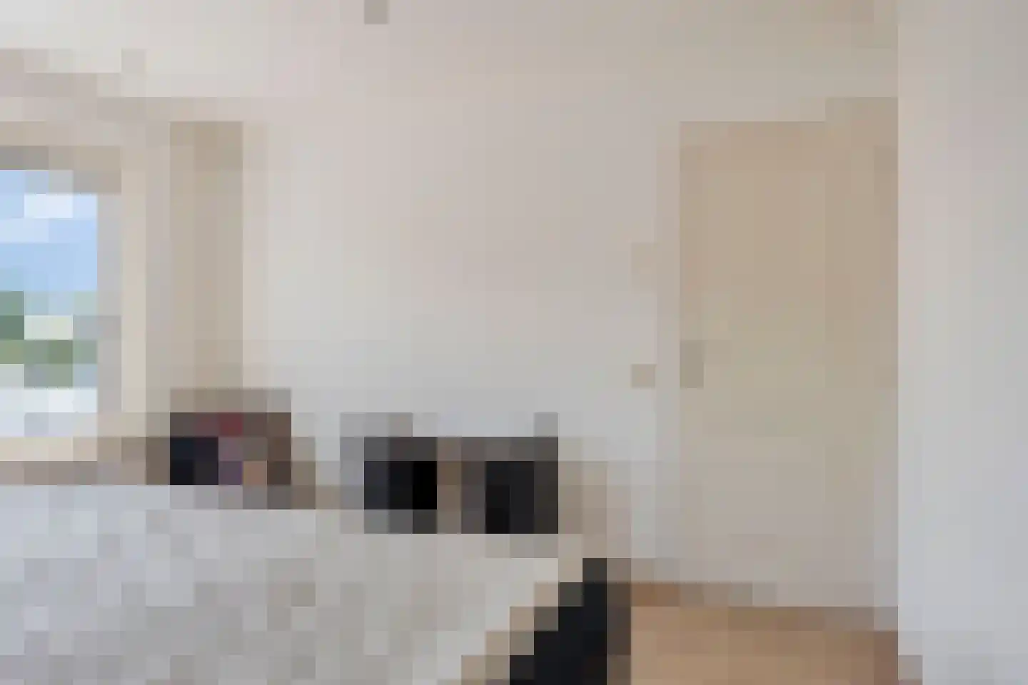 Plonderijen 53 Reusel thumbnail 38