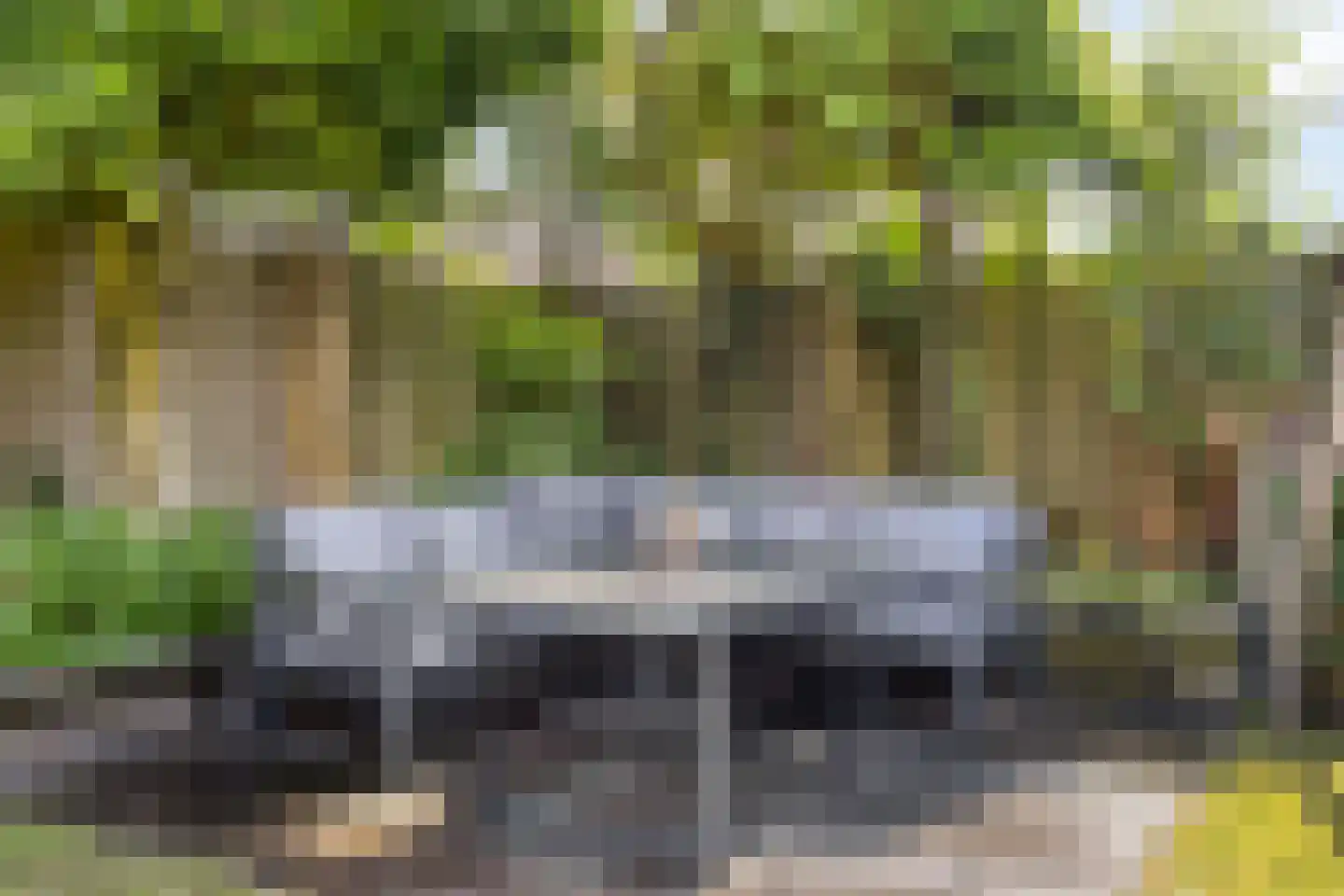 Plonderijen 53 Reusel thumbnail 46