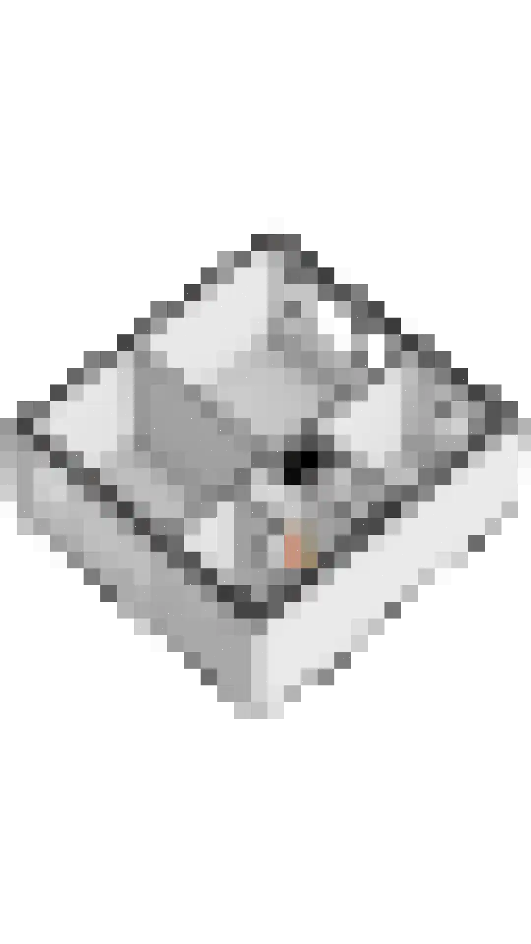 Plonderijen 53 Reusel thumbnail 57