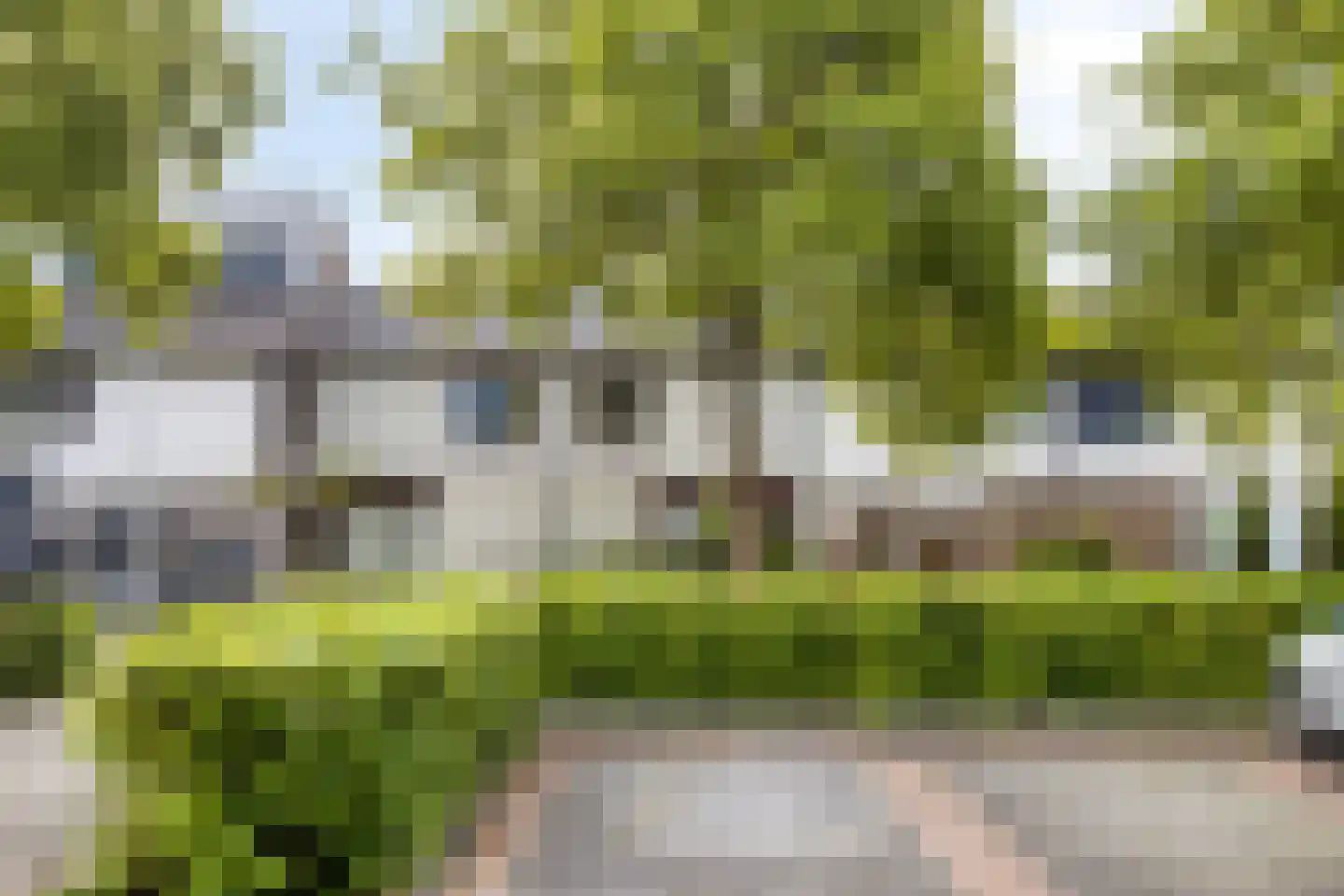 Ploossche Hof 35 's-Hertogenbosch thumbnail 18