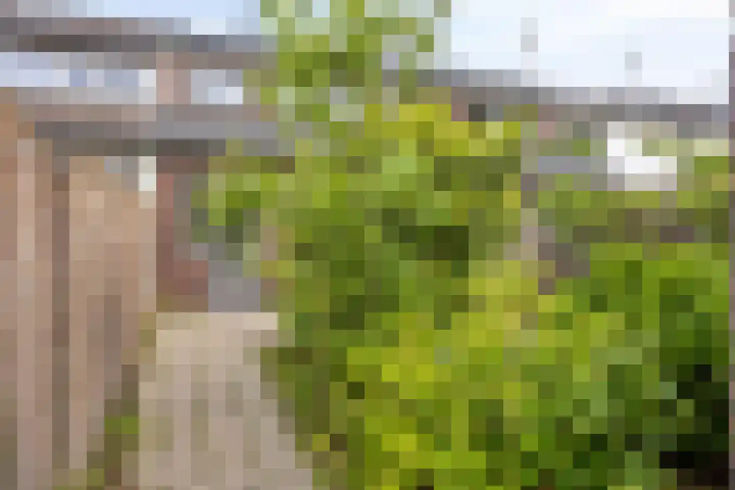 Ploossche Hof 35 's-Hertogenbosch thumbnail 8