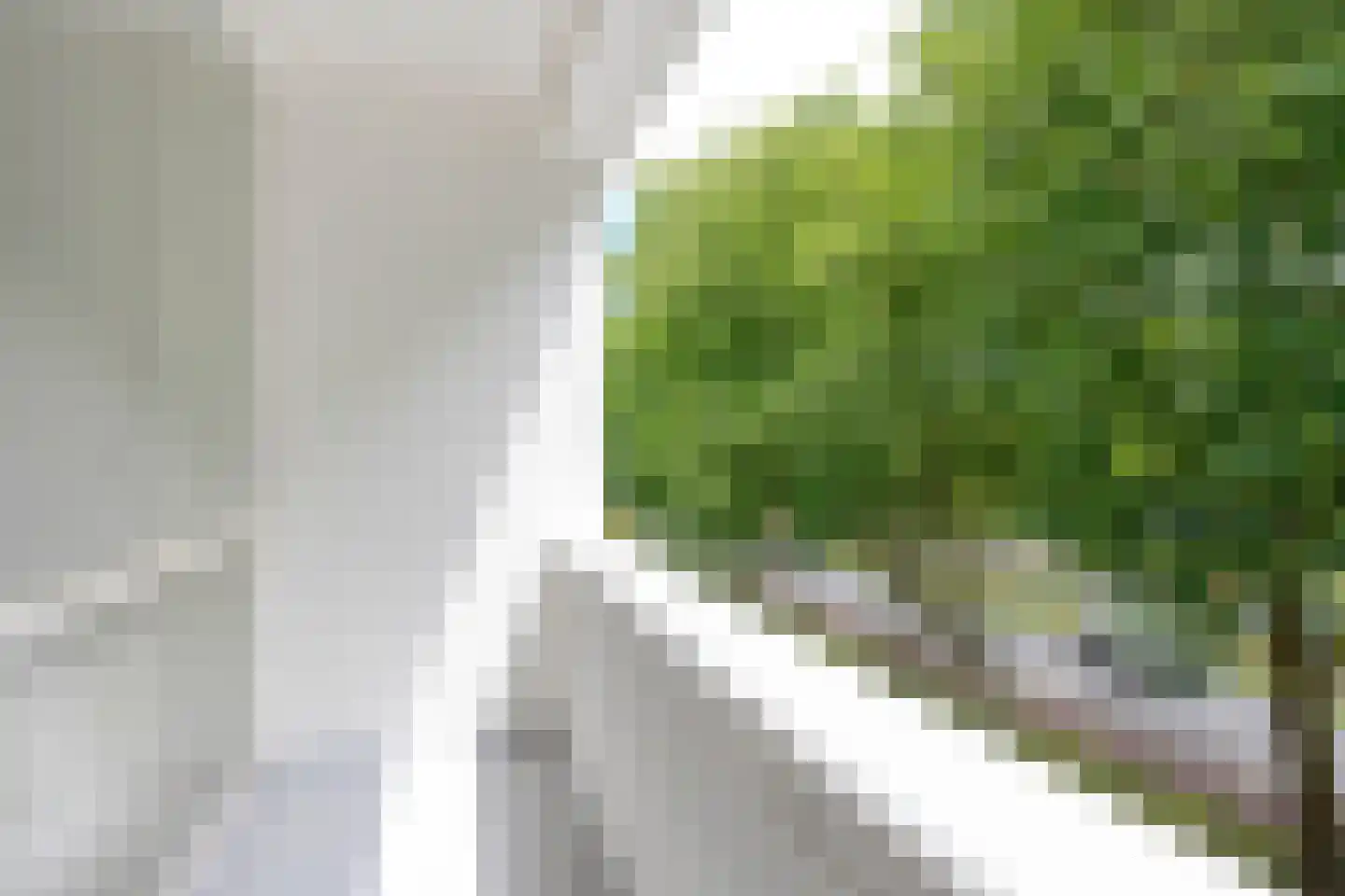 Plotinusstraat 114 Rotterdam thumbnail 11