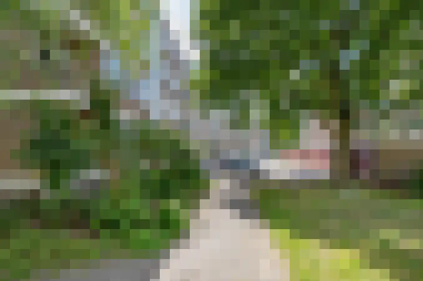 Plotinusstraat 114 Rotterdam thumbnail 25