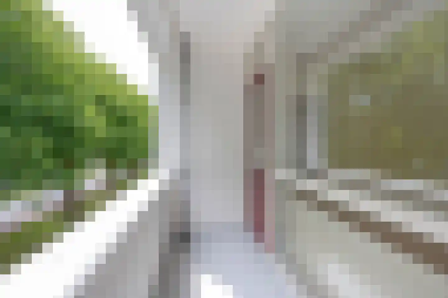Plotinusstraat 114 Rotterdam thumbnail 5