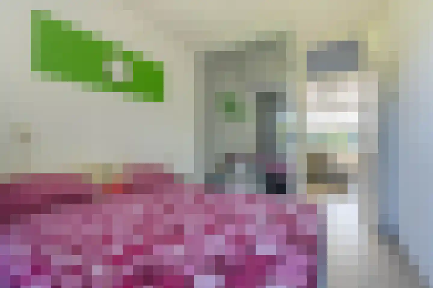 Plotinusstraat 12 Rotterdam thumbnail 18