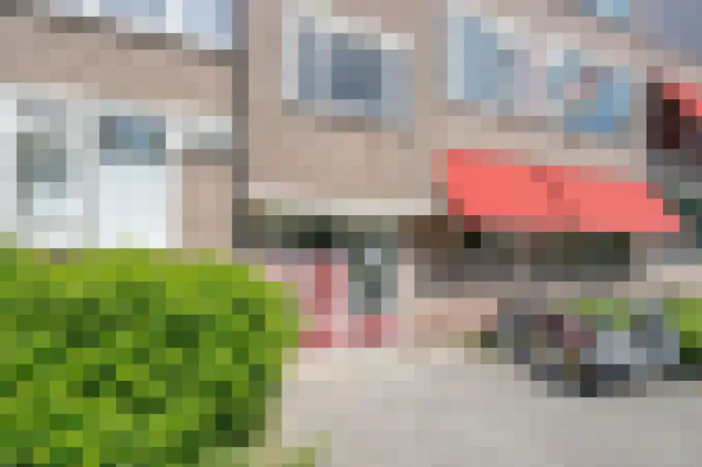 Plotinusstraat 12 Rotterdam thumbnail 7