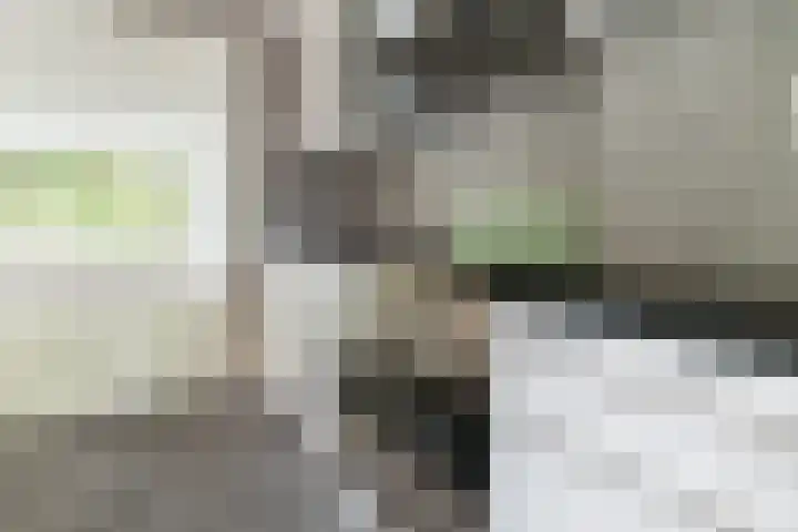 Plotinusstraat 128 Rotterdam thumbnail 14