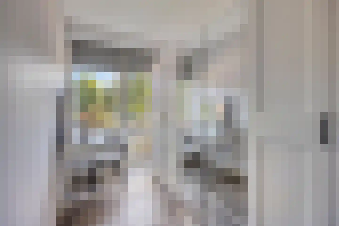 Plotinusstraat 18 Rotterdam thumbnail 13