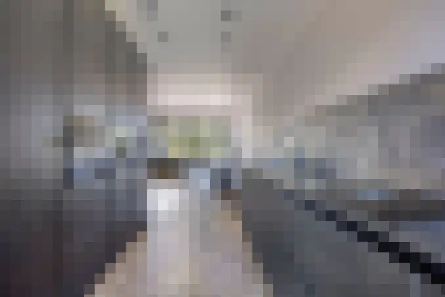 Plotinusstraat 18 Rotterdam thumbnail 16