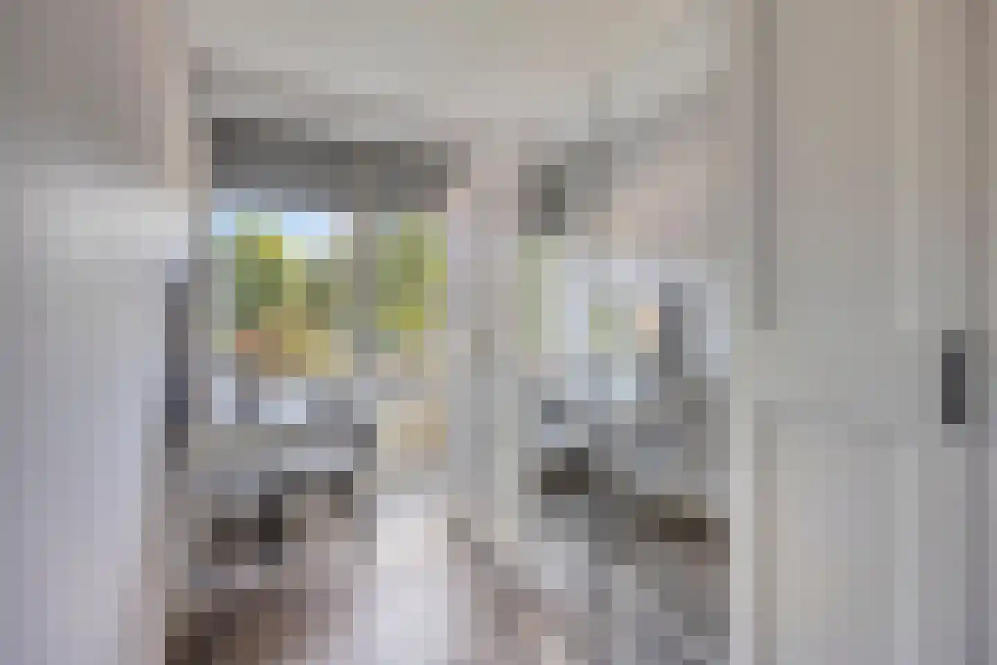 Plotinusstraat 18 Rotterdam thumbnail 19