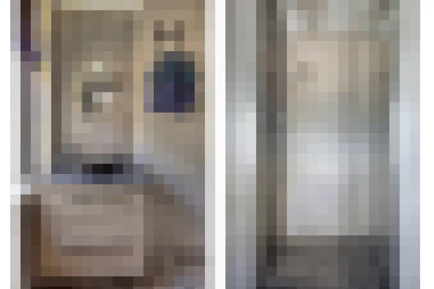 Plotinusstraat 18 Rotterdam thumbnail 21