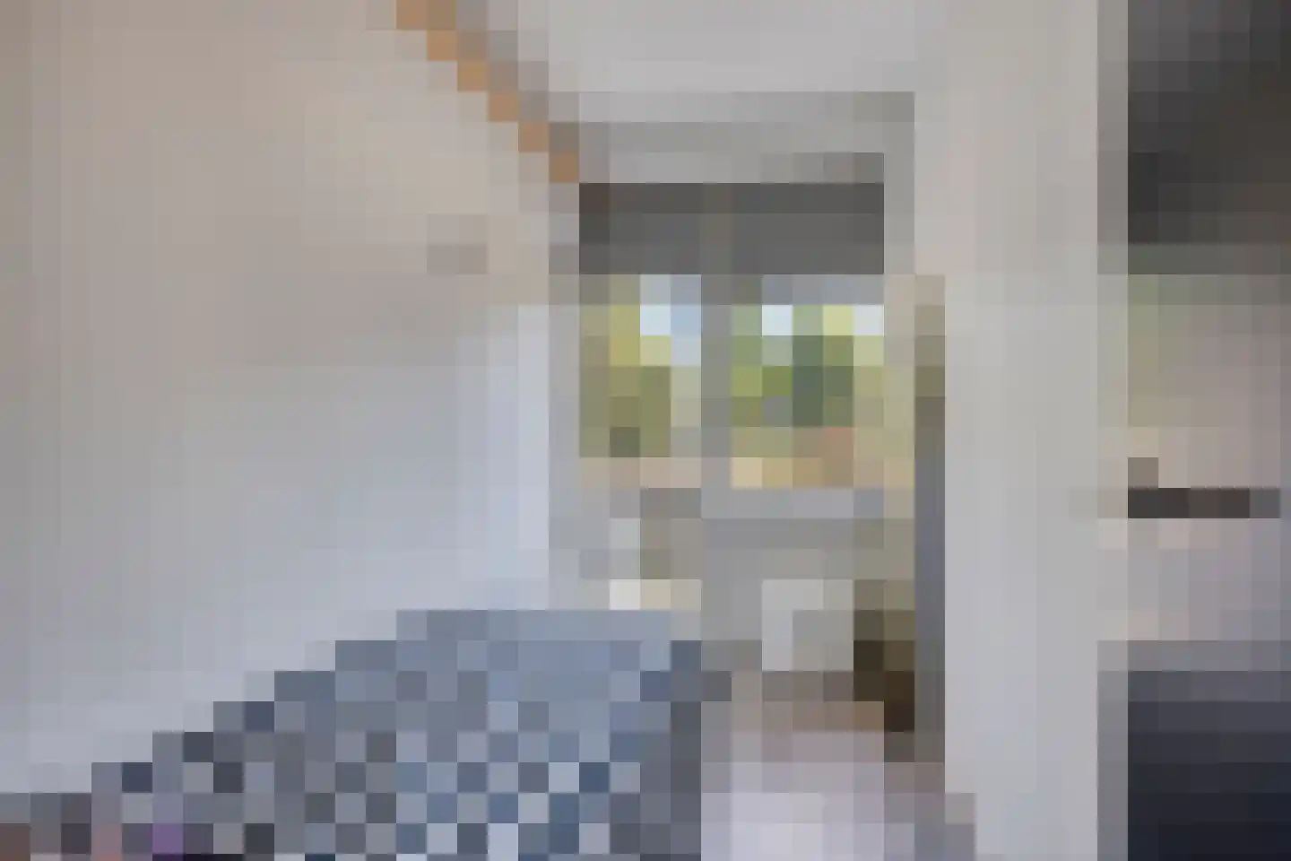 Plotinusstraat 18 Rotterdam thumbnail 22