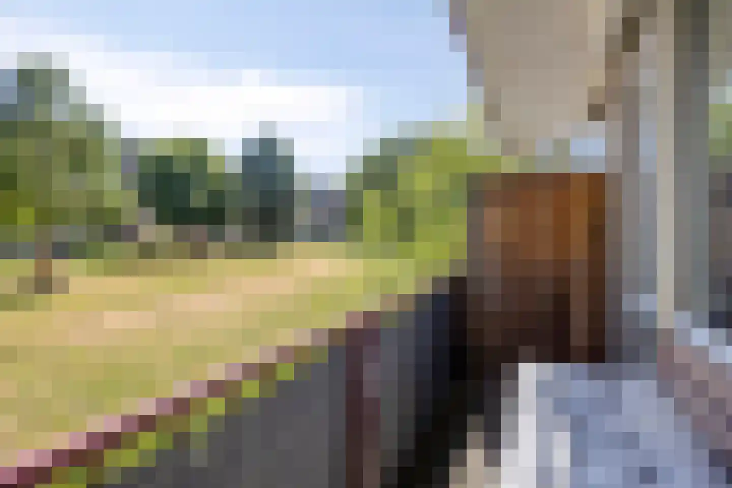Plotinusstraat 18 Rotterdam thumbnail 24