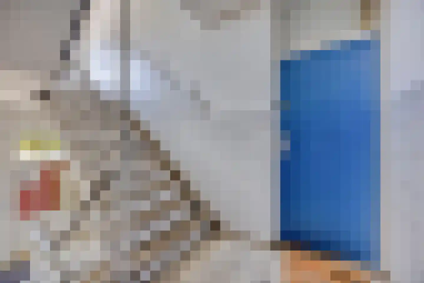 Plotinusstraat 18 Rotterdam thumbnail 6