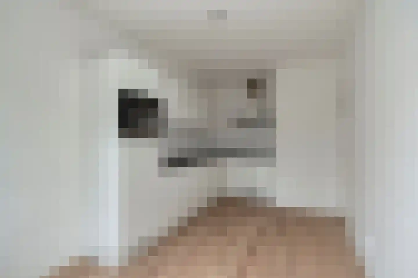Plotinusstraat 21 Rotterdam thumbnail 5