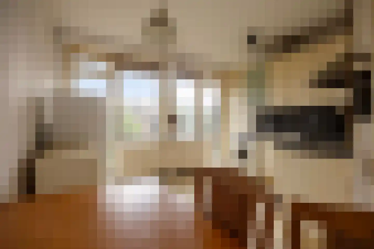 Plotinusstraat 30 Rotterdam thumbnail 18
