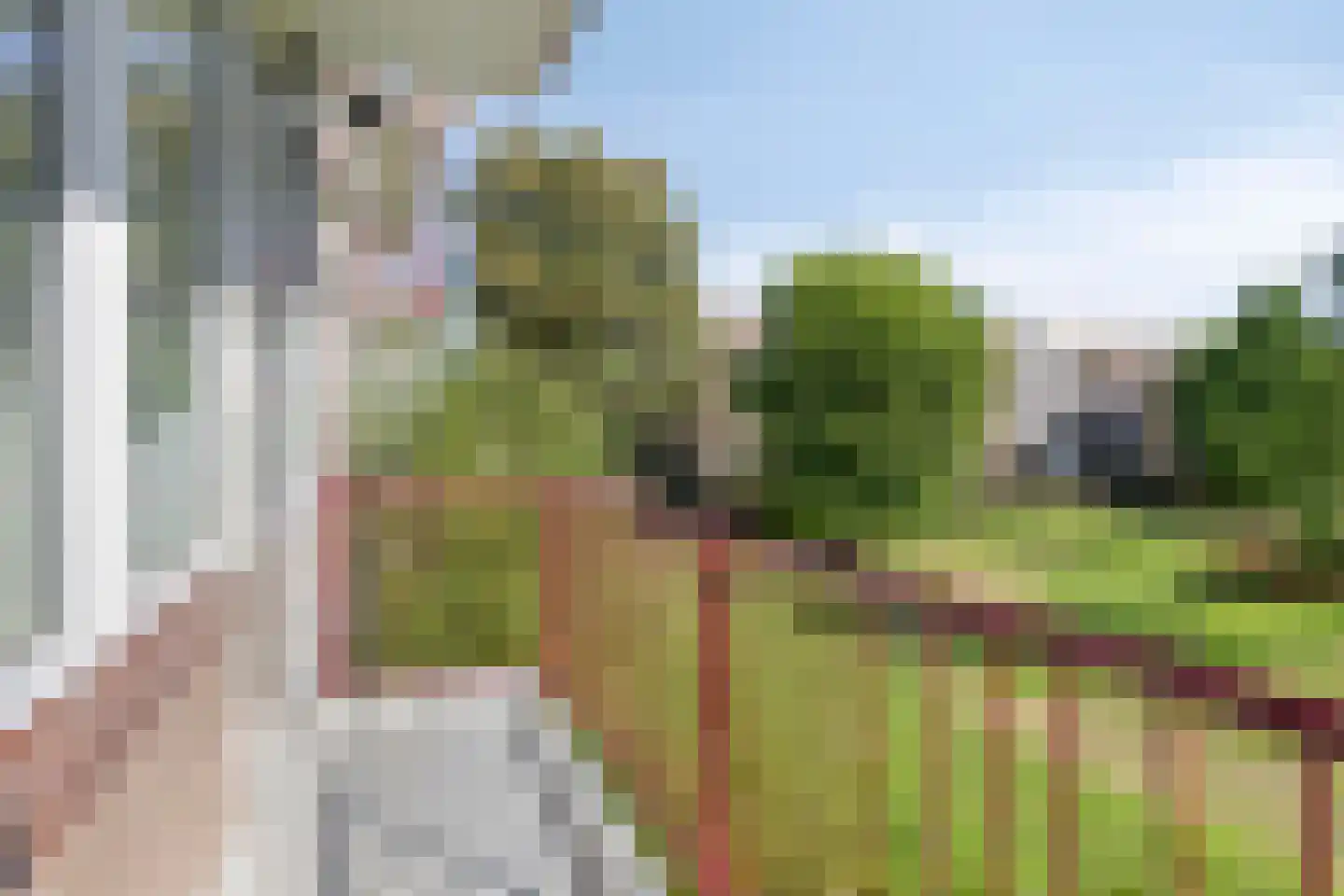 Plotinusstraat 36 Rotterdam thumbnail 15