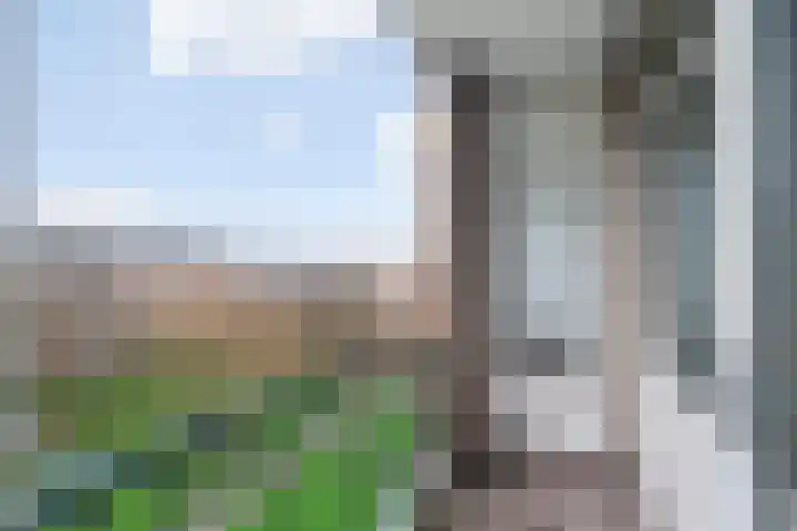 Plotinusstraat 41 Rotterdam thumbnail 4