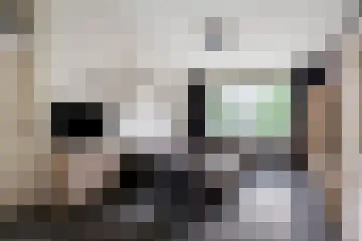 Plotinusstraat 52 Rotterdam thumbnail 12