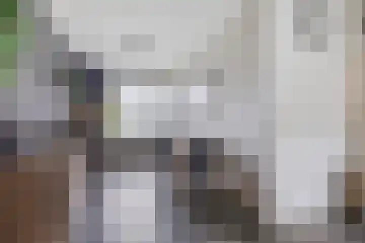 Plotinusstraat 52 Rotterdam thumbnail 13