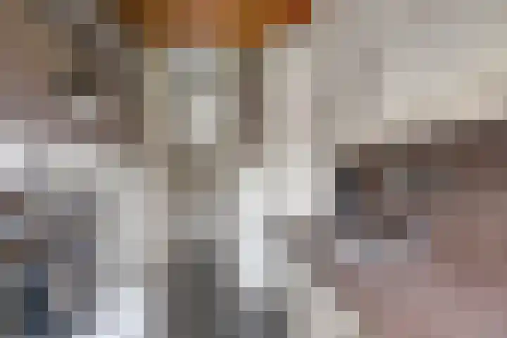 Plotinusstraat 52 Rotterdam thumbnail 16