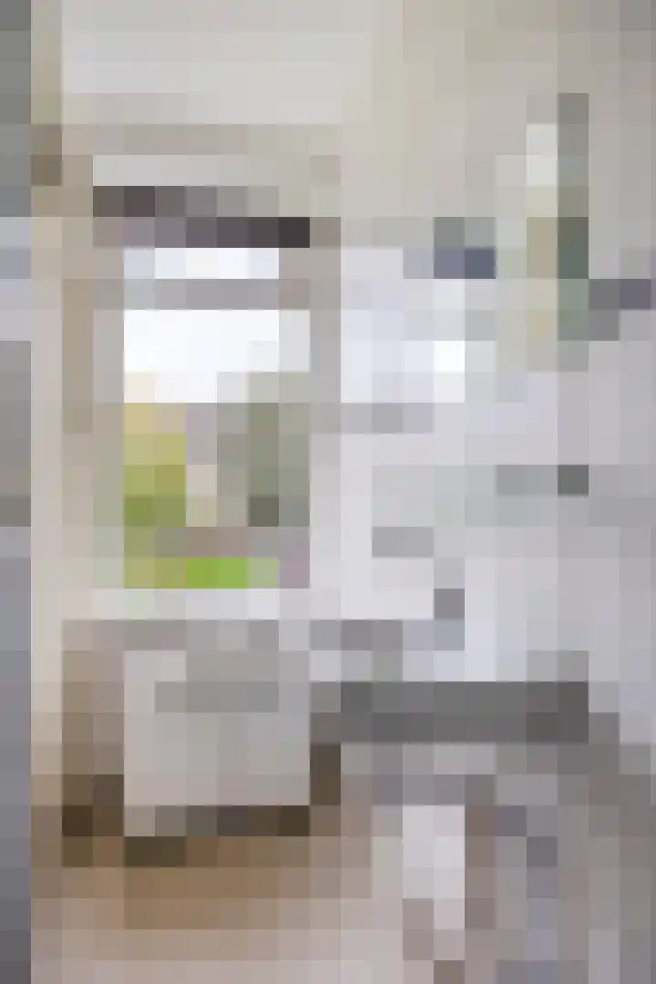 Plotinusstraat 52 Rotterdam thumbnail 21
