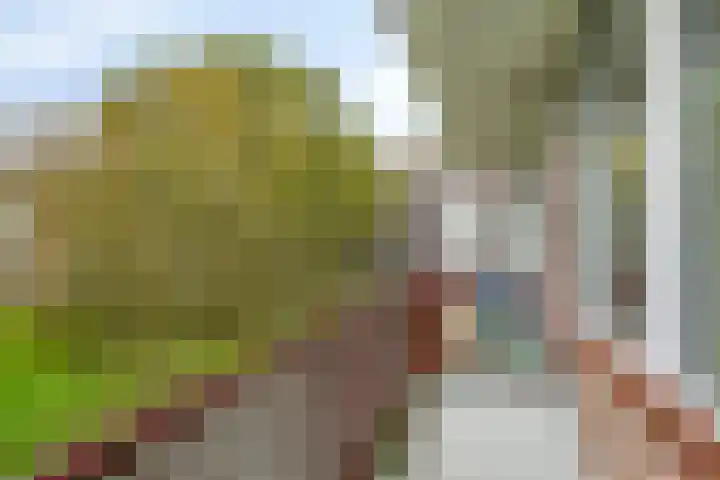Plotinusstraat 52 Rotterdam thumbnail 25