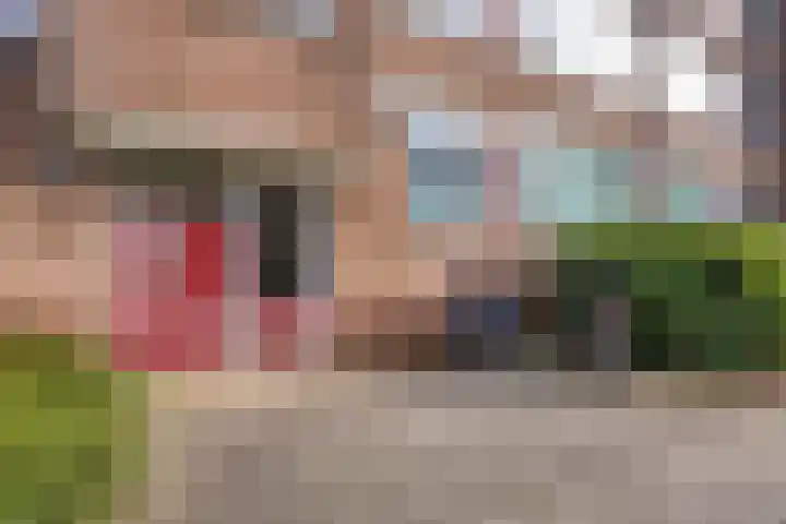 Plotinusstraat 52 Rotterdam thumbnail 6