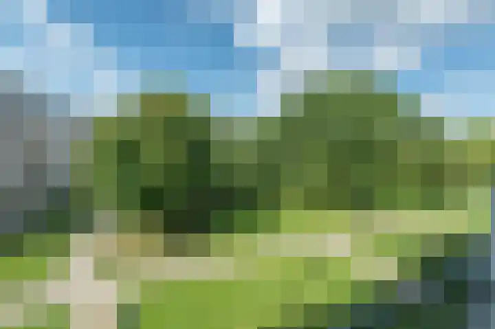 Plotinusstraat 63 Rotterdam thumbnail 12