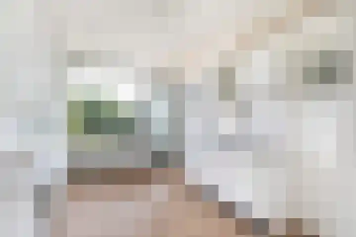 Plotinusstraat 63 Rotterdam thumbnail 4