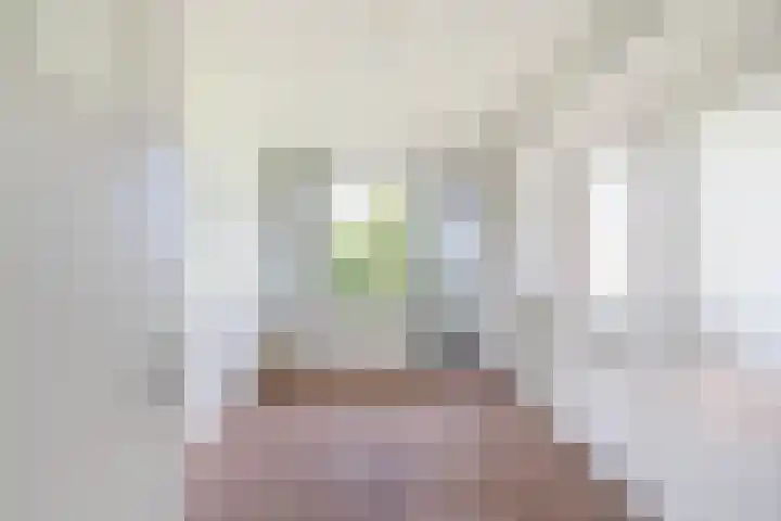 Plotinusstraat 63 Rotterdam thumbnail 5