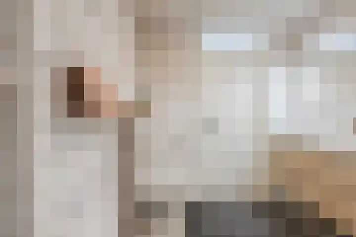 Plugeind 10 Best thumbnail 24