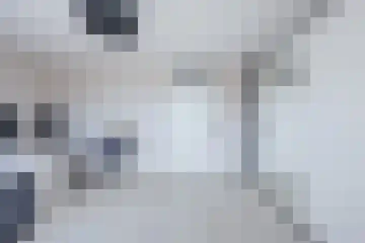 Plugeind 10 Best thumbnail 26