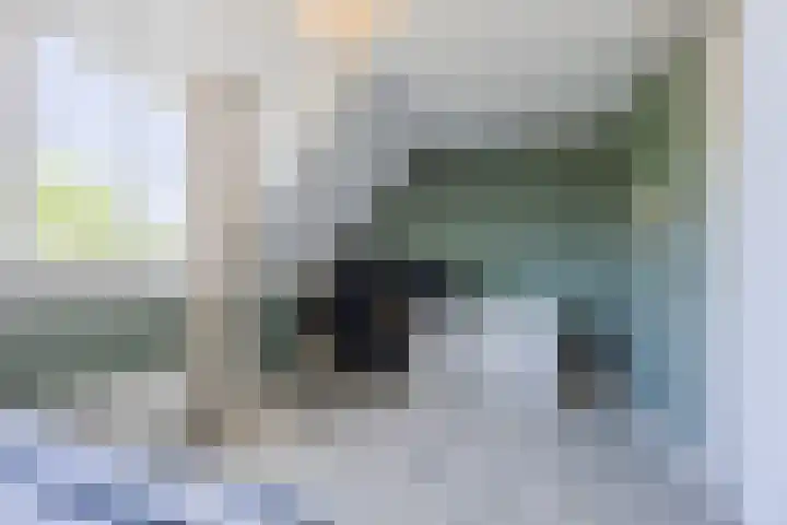 Plugeind 10 Best thumbnail 28