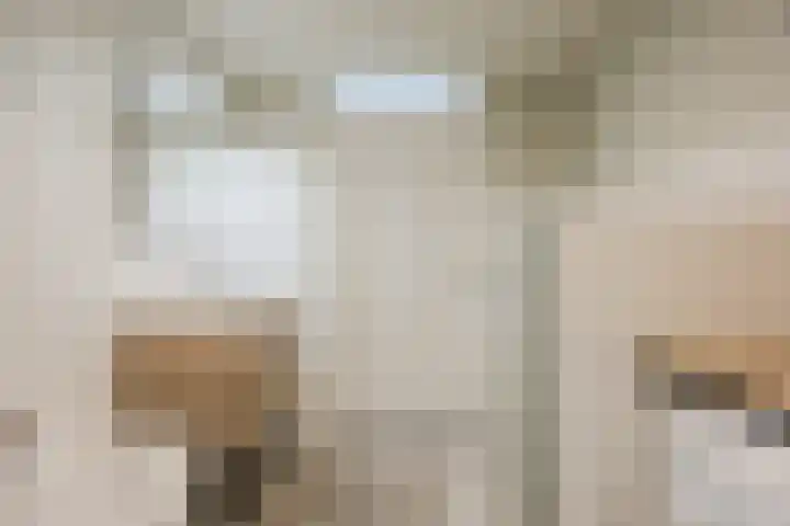 Plugeind 10 Best thumbnail 30