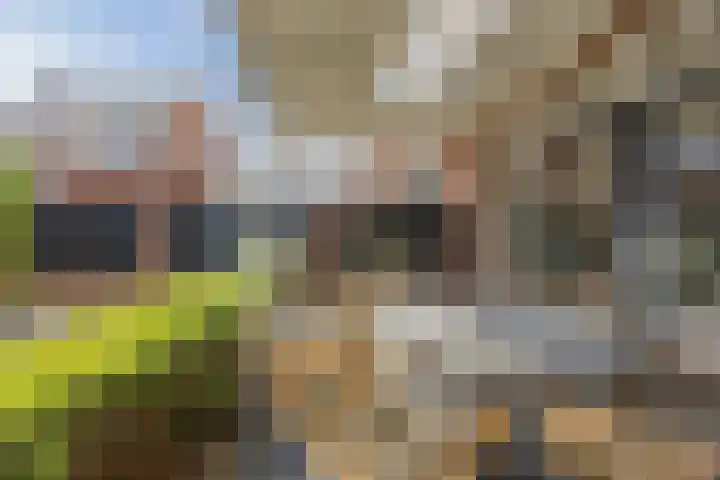 Plugeind 10 Best thumbnail 32