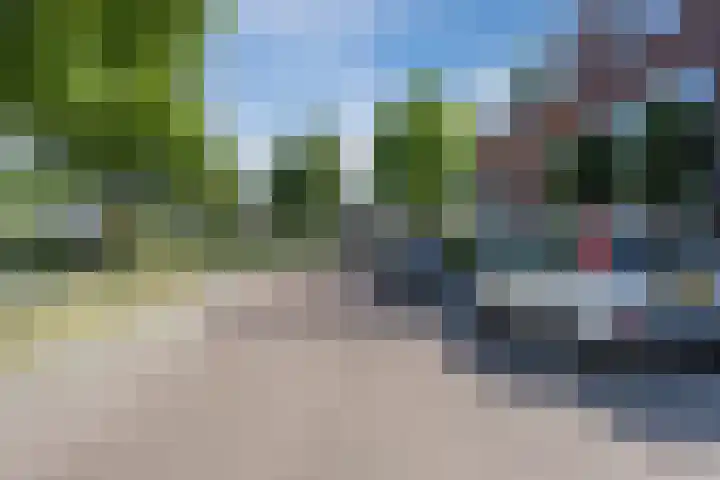 Plugeind 10 Best thumbnail 37