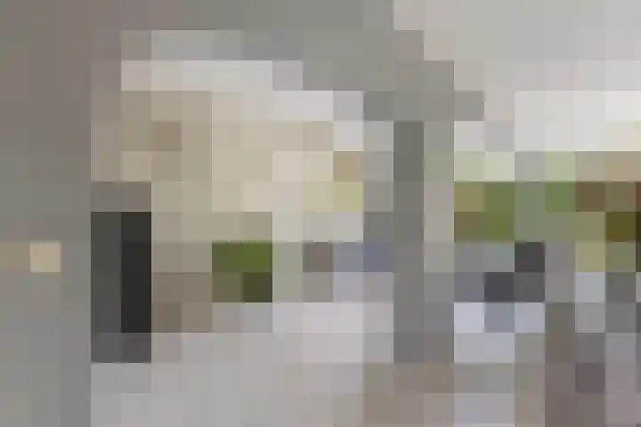 Pluim-es 48 Krimpen aan den IJssel thumbnail 16