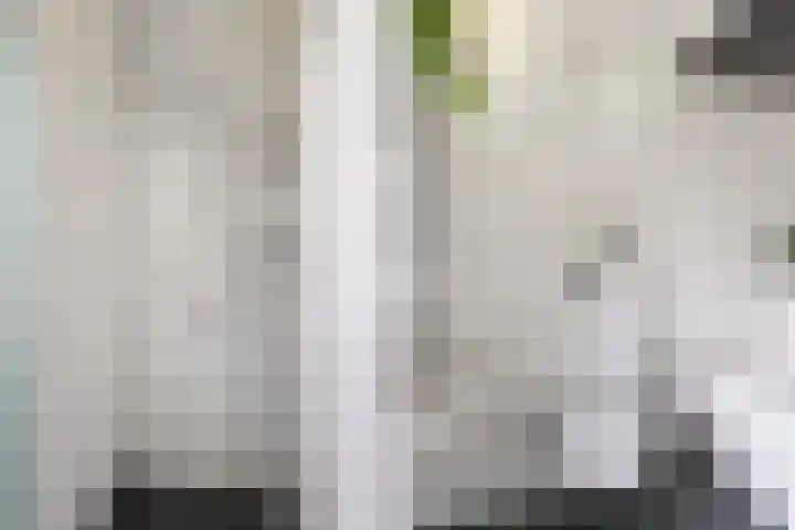 Pluim-es 48 Krimpen aan den IJssel thumbnail 31