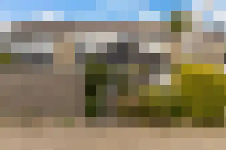 Pluim-es 48 Krimpen aan den IJssel thumbnail 41