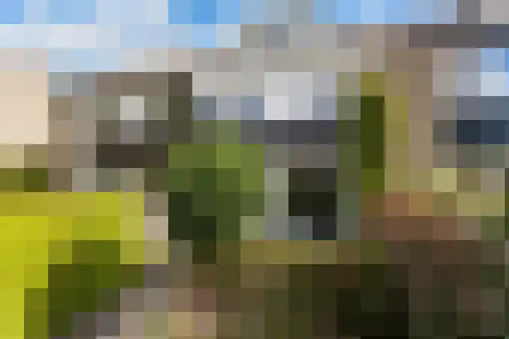 Pluim-es 48 Krimpen aan den IJssel thumbnail 44