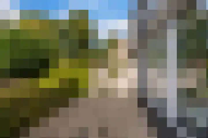 Pluim-es 48 Krimpen aan den IJssel thumbnail 45