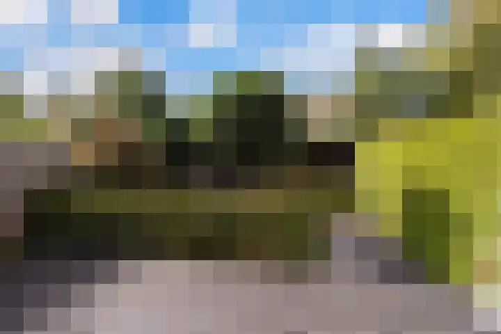 Pluim-es 48 Krimpen aan den IJssel thumbnail 46