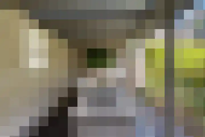Pluim-es 48 Krimpen aan den IJssel thumbnail 48