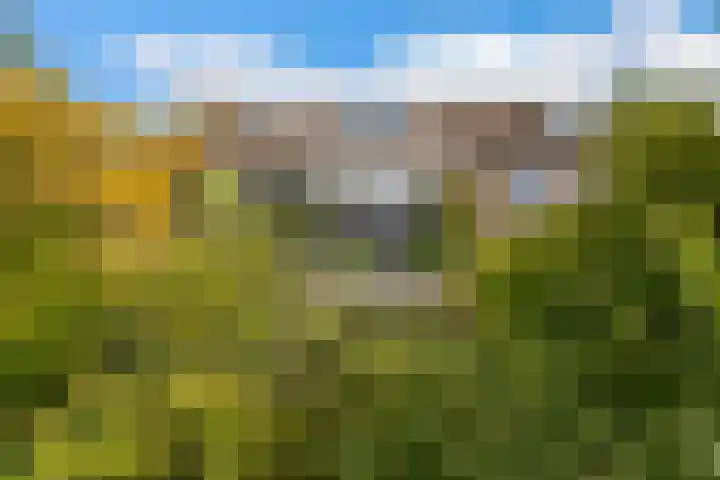 Pluim-es 48 Krimpen aan den IJssel thumbnail 49