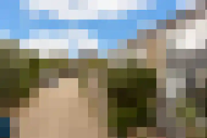Pluim-es 48 Krimpen aan den IJssel thumbnail 50